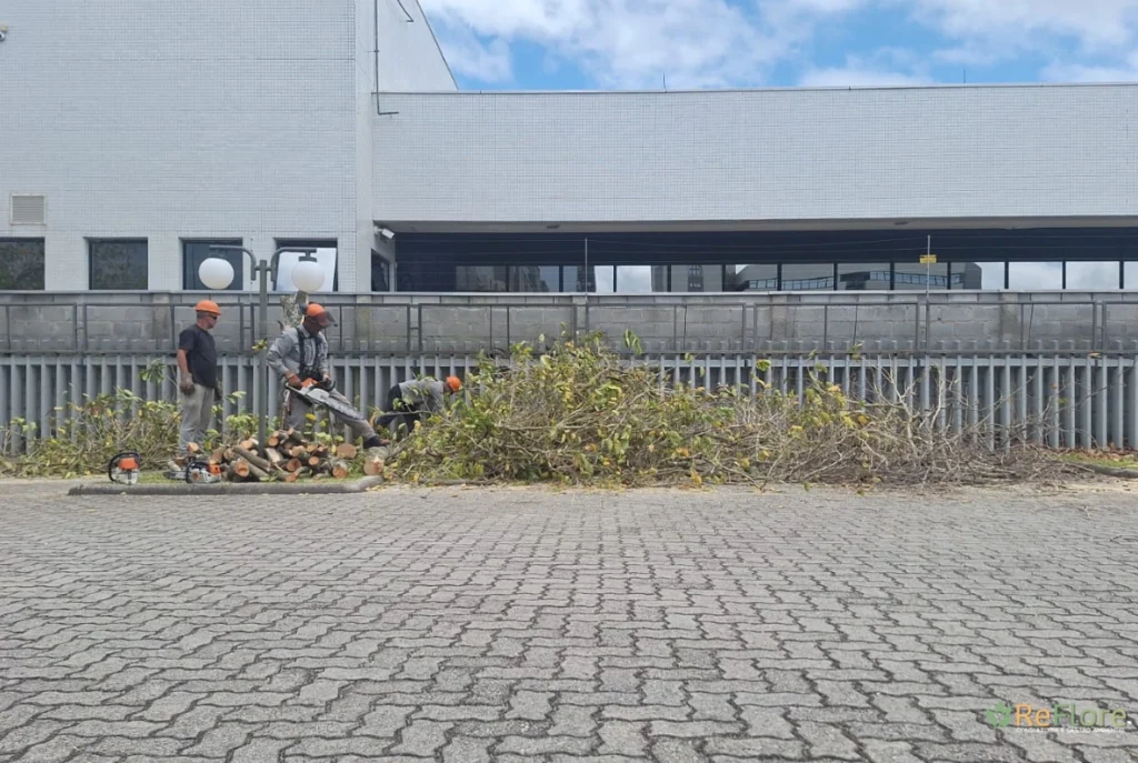 ART para supressão vegetal em Pelotas