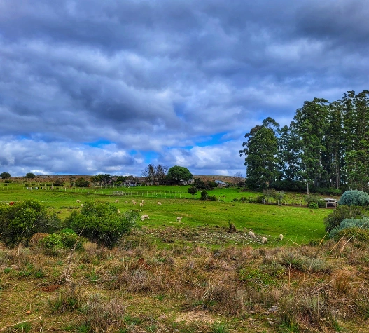 Cadastro Ambiental Rural (CAR) - Reflore Consultoria e Gestão Ambiental
