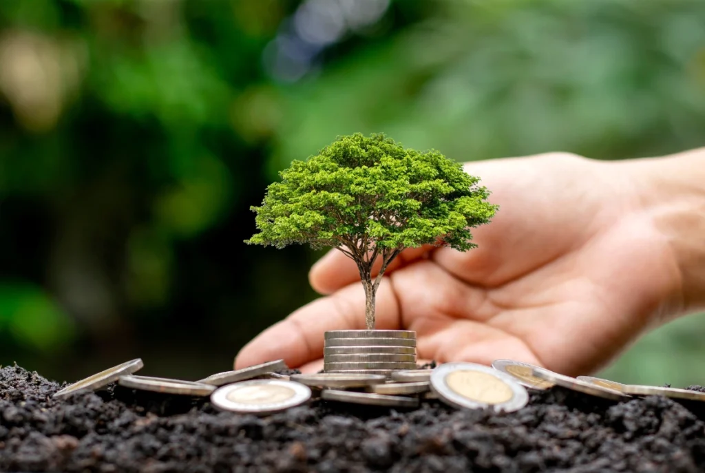 Compensação Ambiental