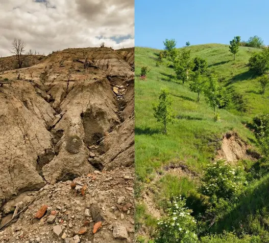 Plano de Recuperação de Área Degradada (PRAD)