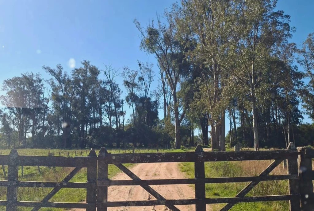 Recuperação de área degradada