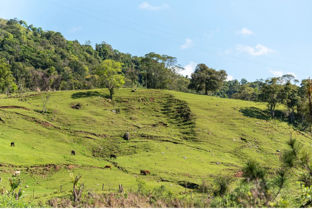 Reserva Legal o que é, como calcular e como regularizar sua área rural