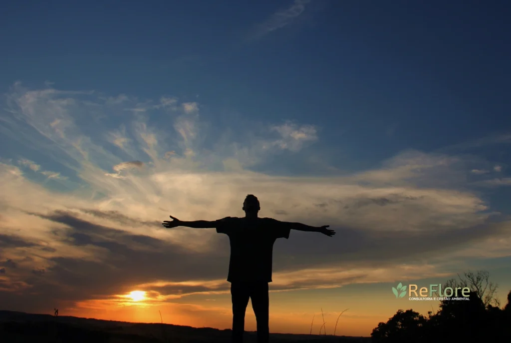 dia do meio ambiente
